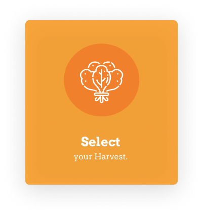 Select your Harvest